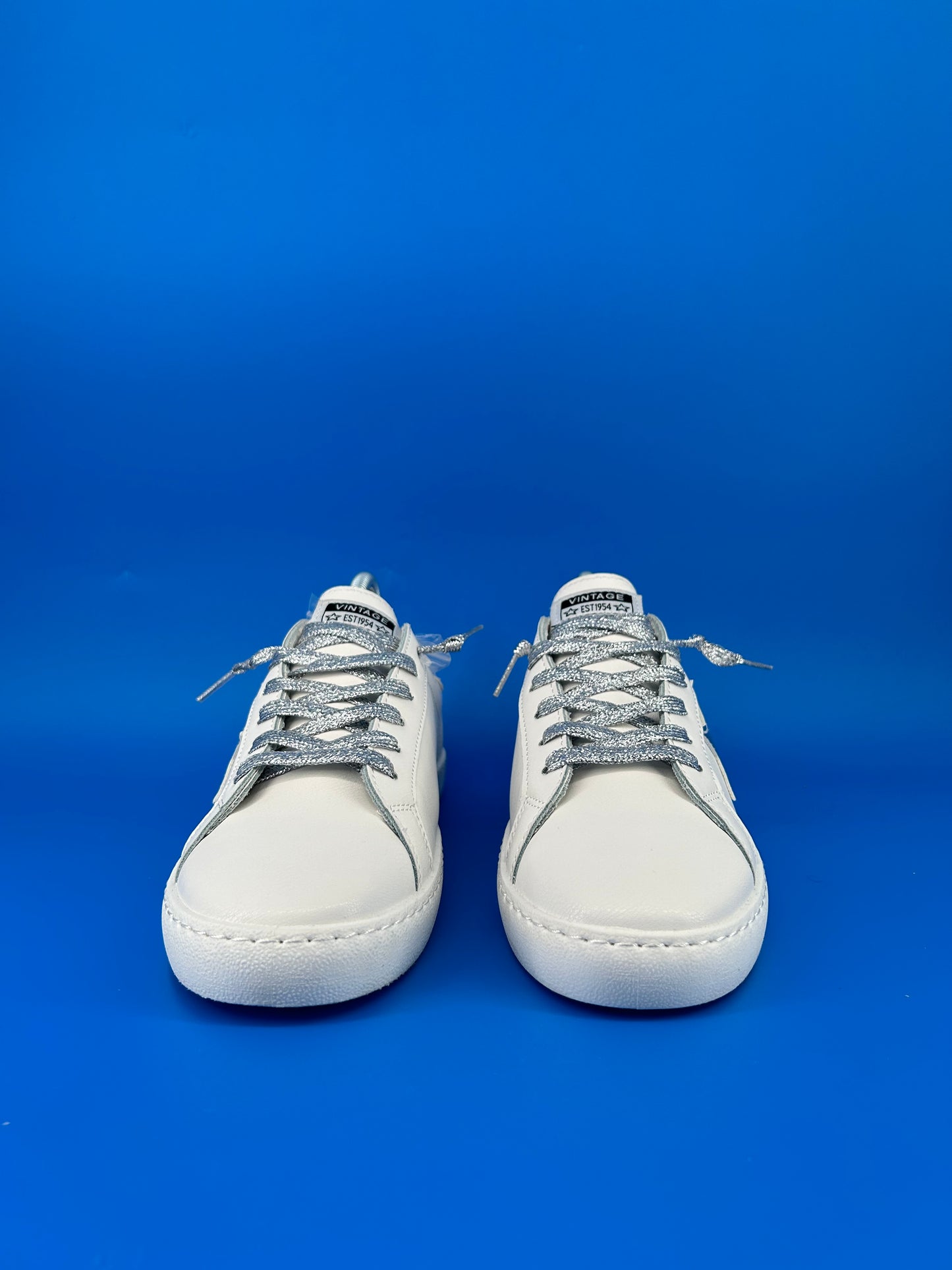 Size 9 women- Vintage Havana Metallic sneakers